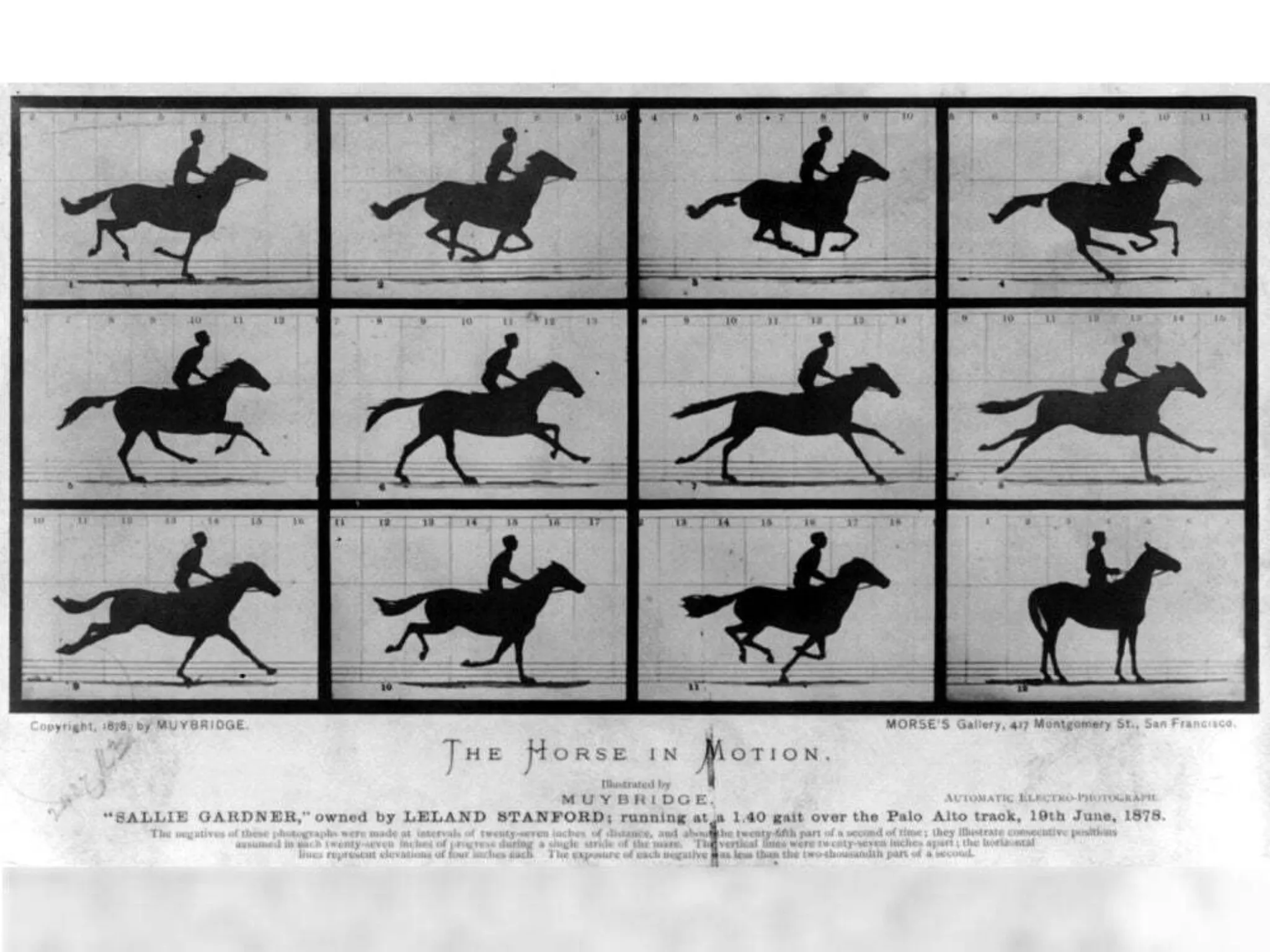 The Horse in Motion (Eadweard Muybridge, 1878, United States Library of Congress Prints and Photographs Division)