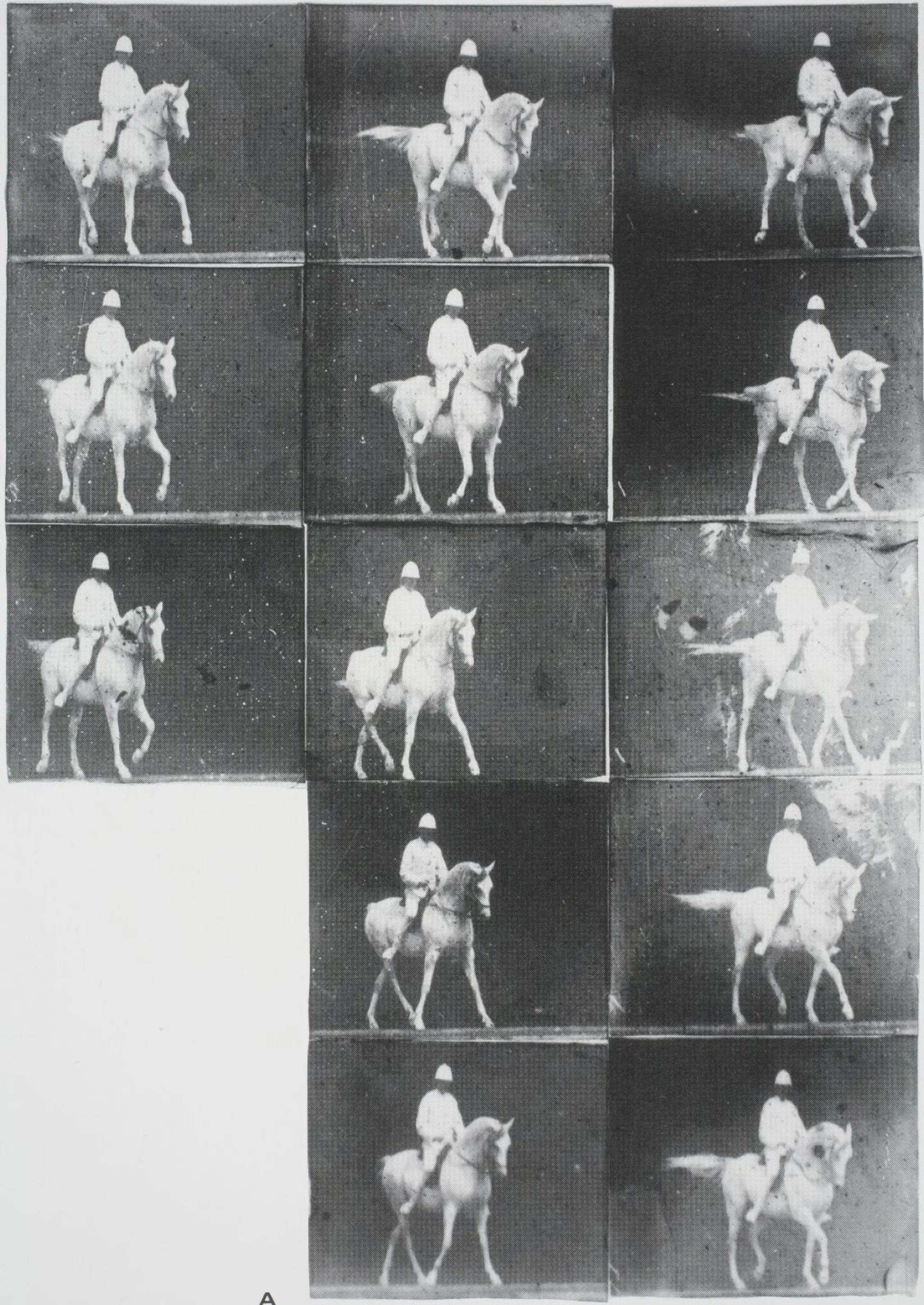 Man on a White Horse (Étienne Jules-Marey, Chronophotography, 1889)