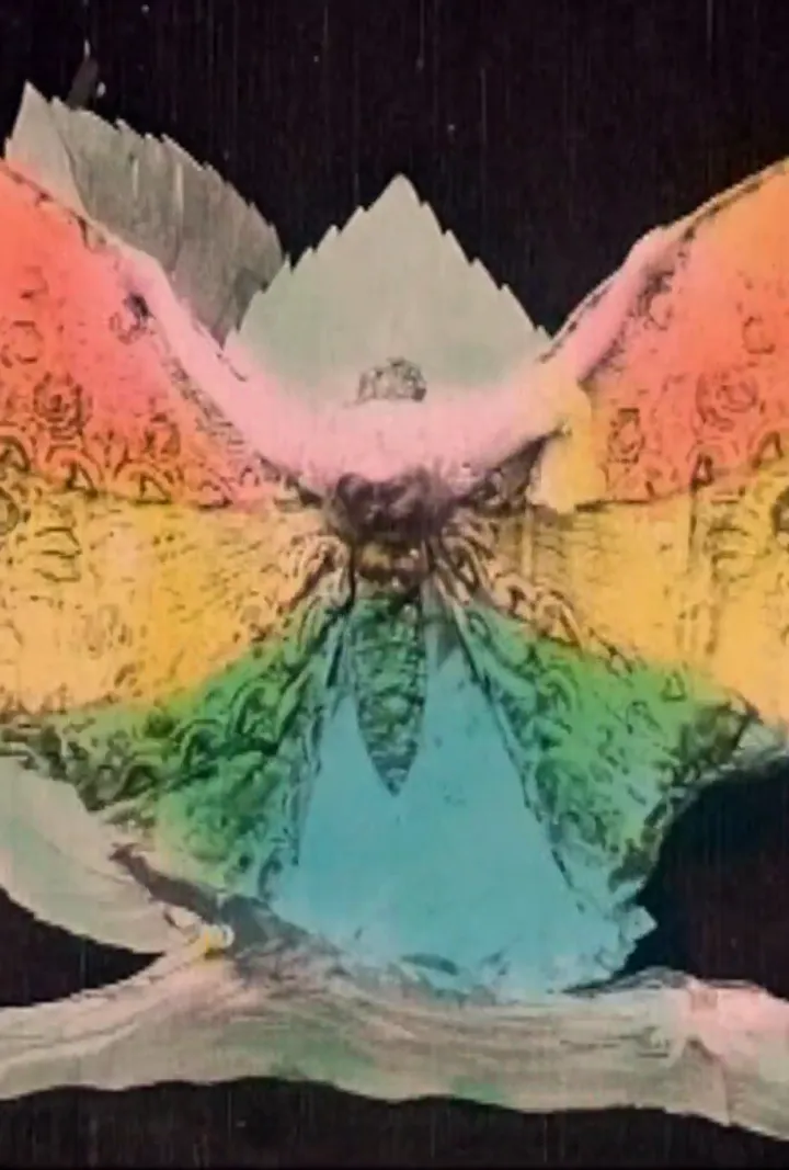 The Butterfly's Metamorphosis